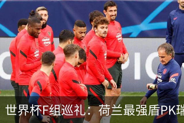 世界杯F组巡礼：荷兰最强盾PK瑞典犀利刀 日本短板明显